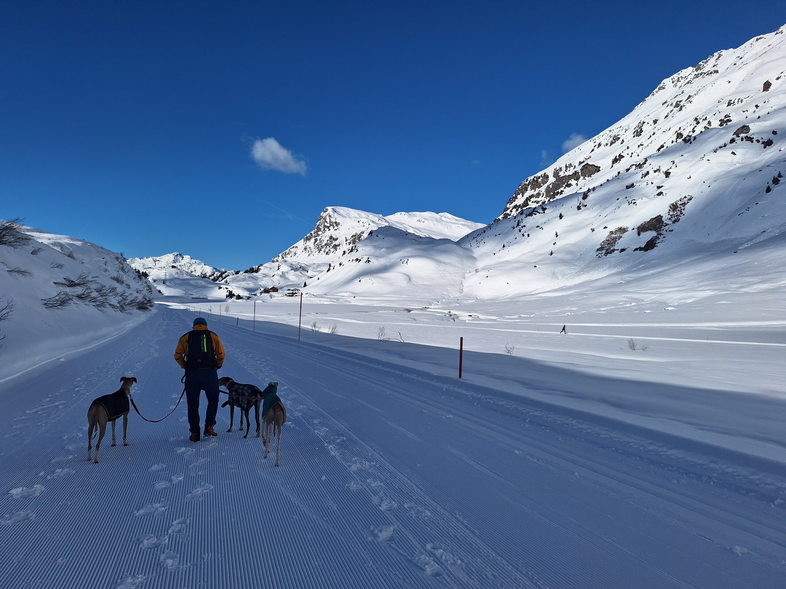 Walking with dogs on a snowy mountain trail in Galtür, Austria